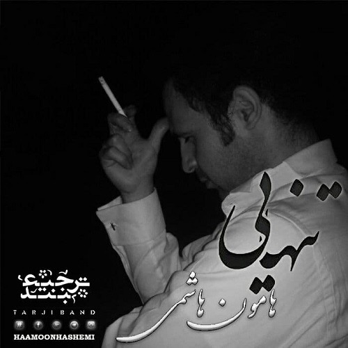 دانلود آهنگ هامون هاشمی تنهایی با کیفیت 320
